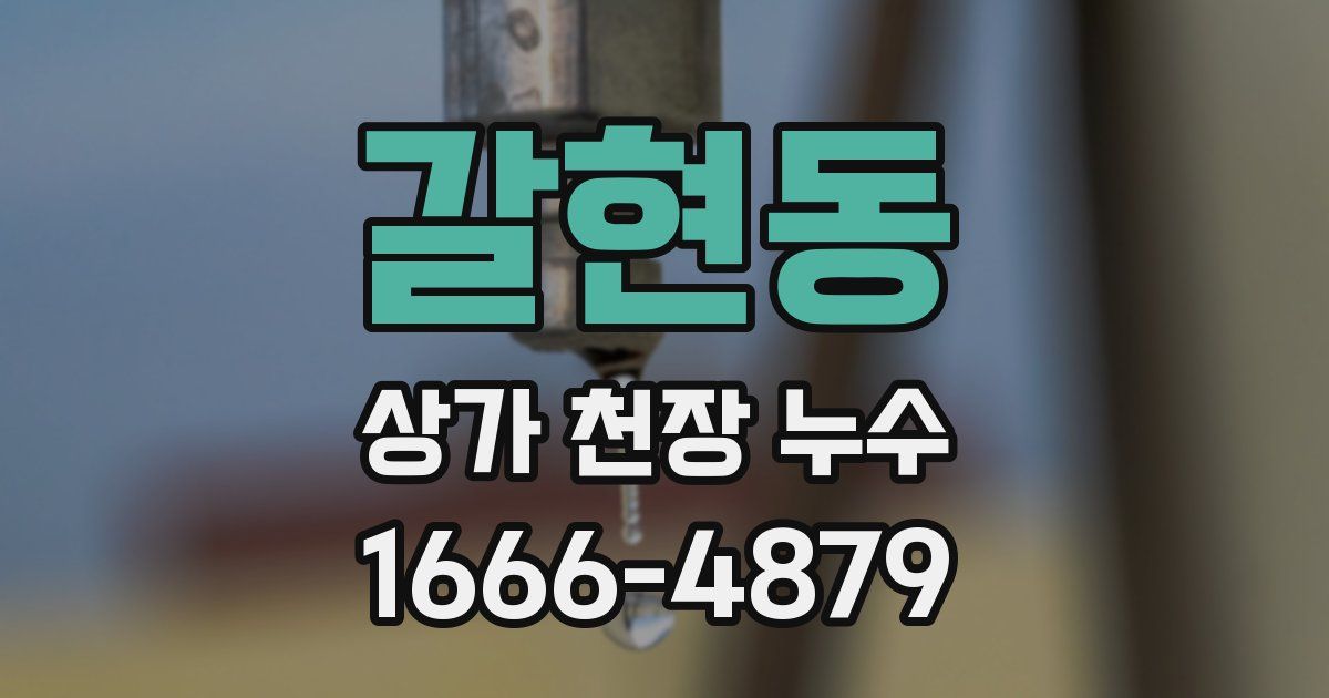 갈현동 상가 천장 누수