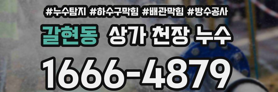 갈현동 상가 천장 누수