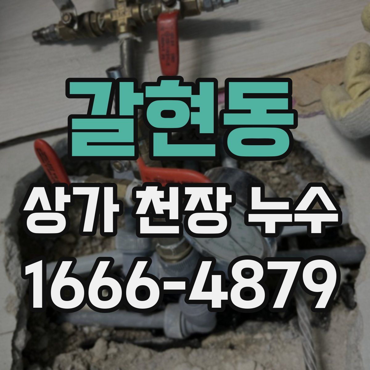 갈현동 상가 천장 누수