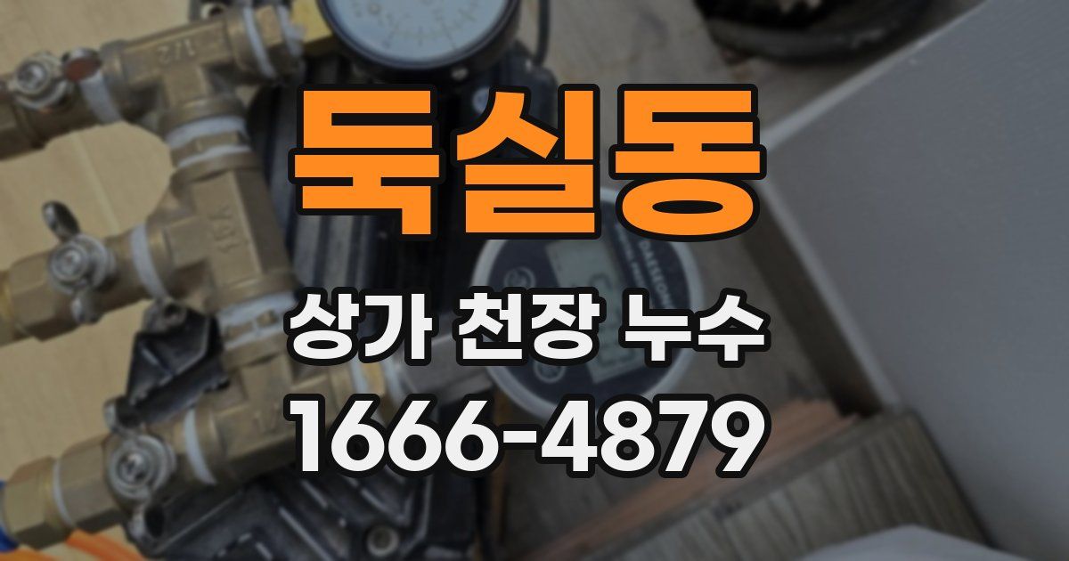 둑실동 상가 천장 누수
