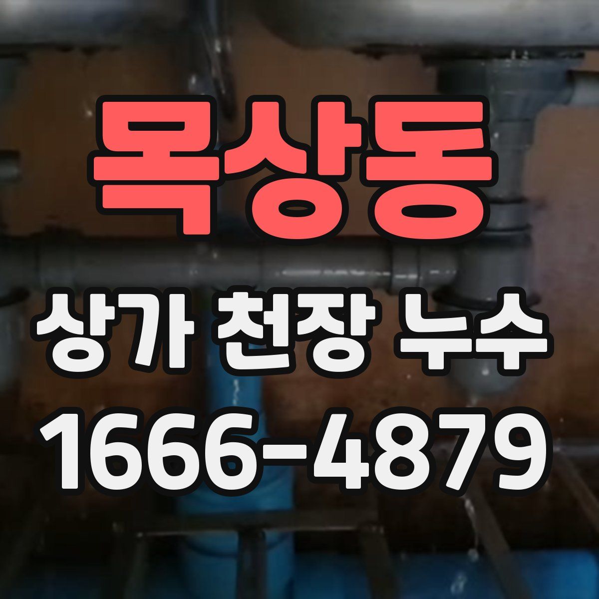 목상동 상가 천장 누수