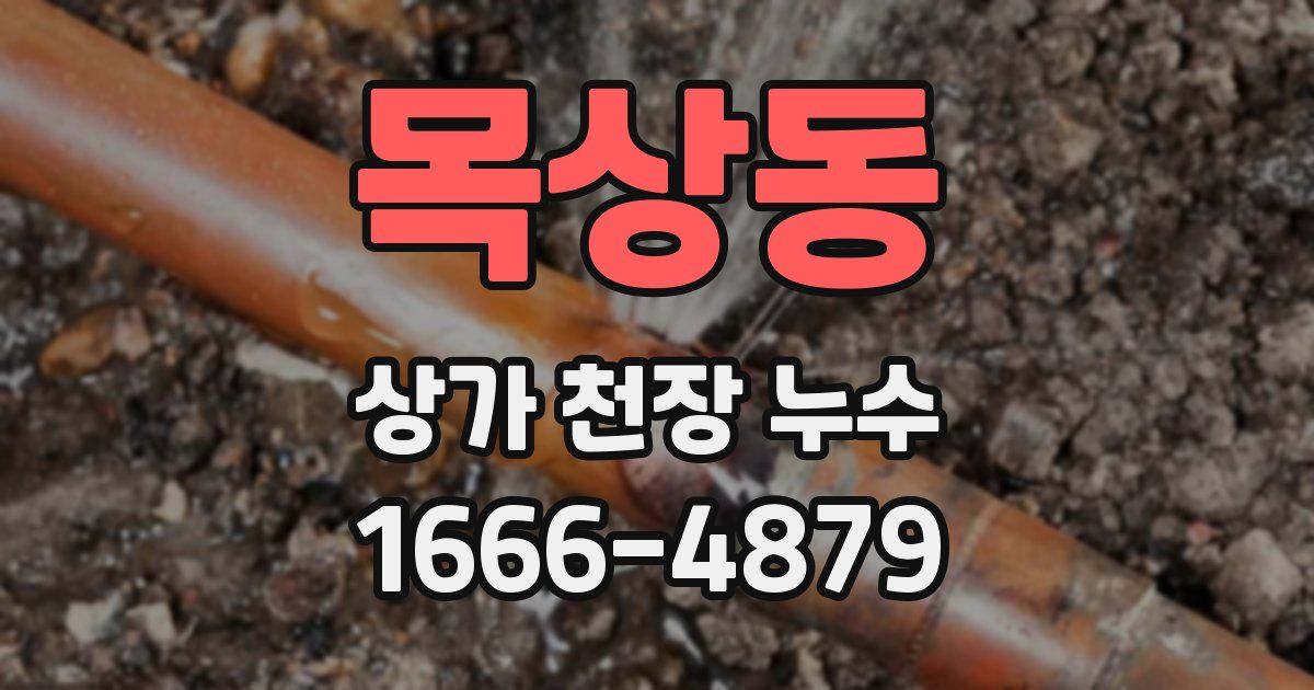 목상동 상가 천장 누수