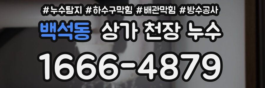 백석동 상가 천장 누수