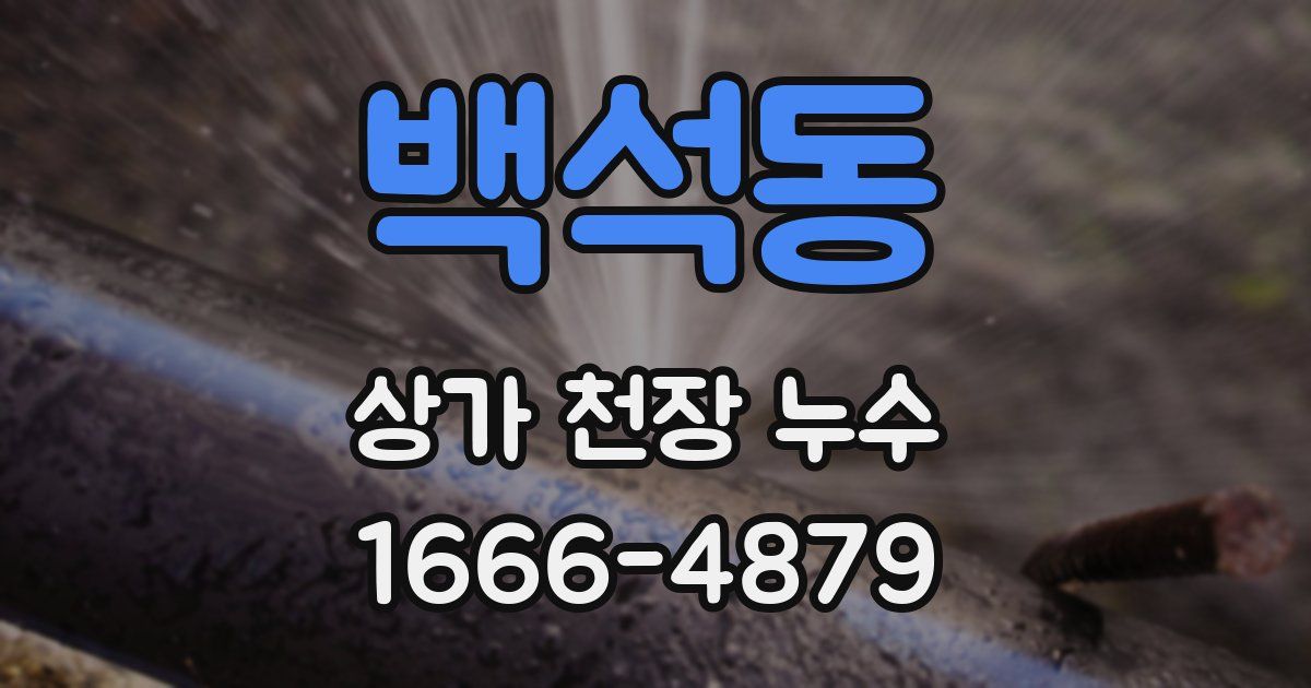 백석동 상가 천장 누수