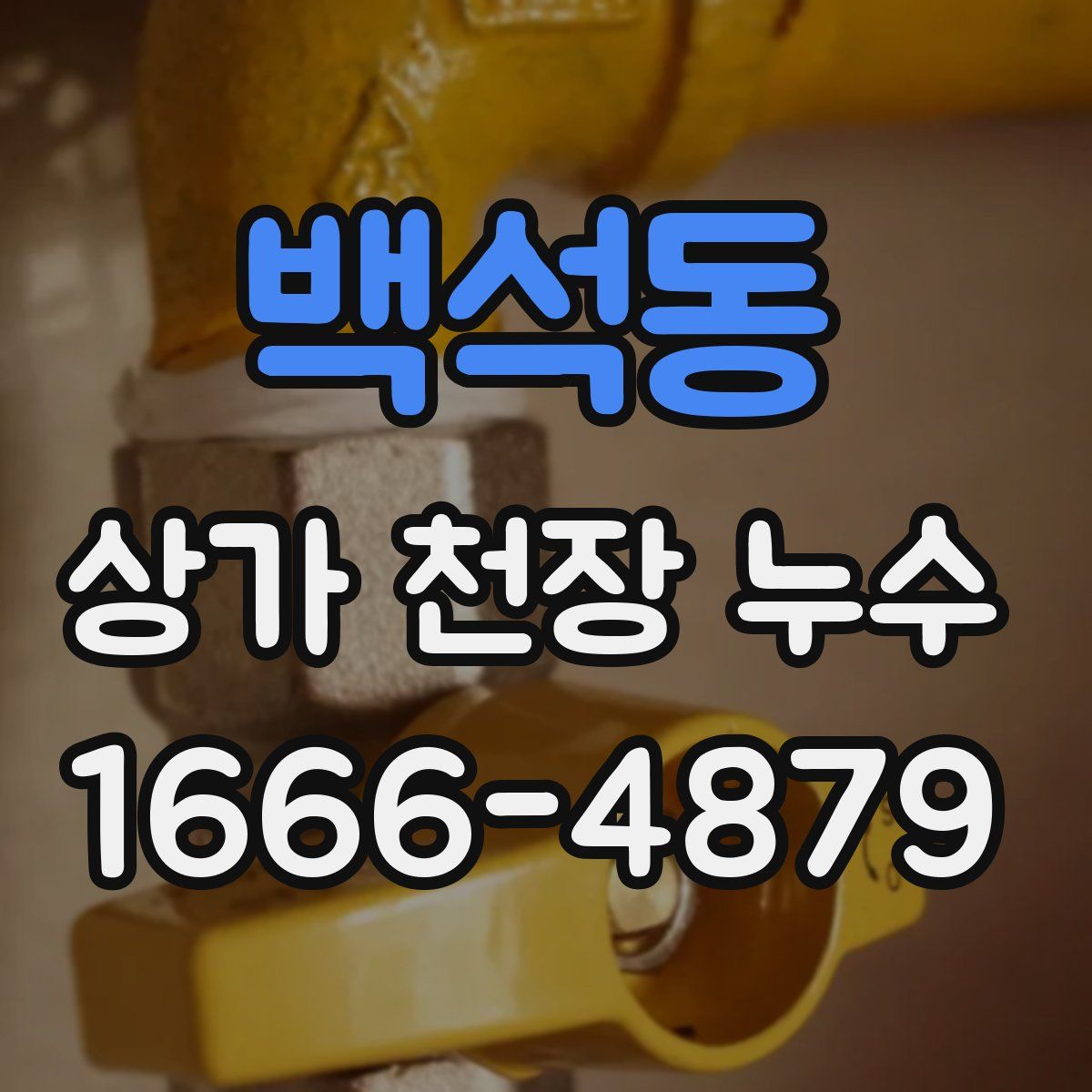 백석동 상가 천장 누수