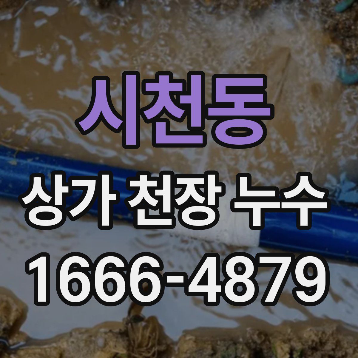 시천동 상가 천장 누수