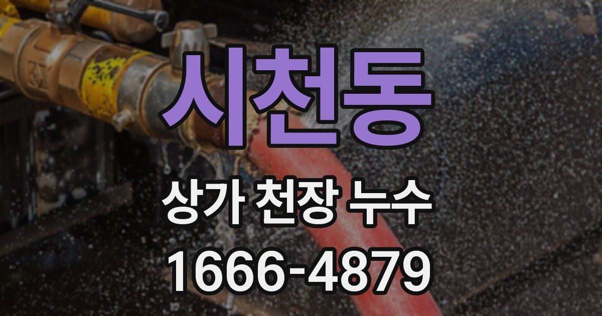 시천동 상가 천장 누수
