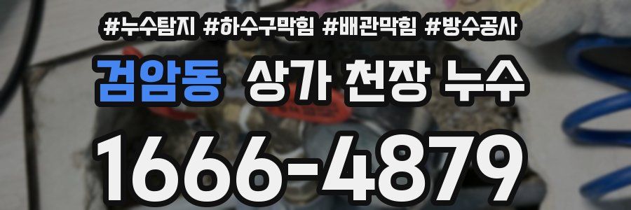 검암동 상가 천장 누수