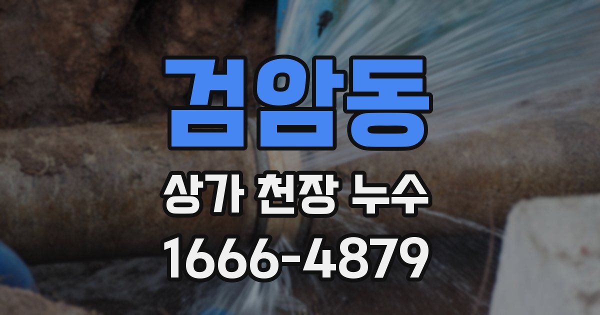 검암동 상가 천장 누수