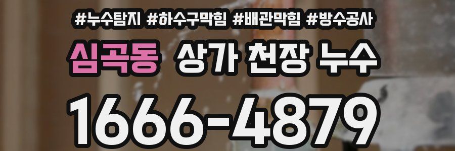 심곡동 상가 천장 누수