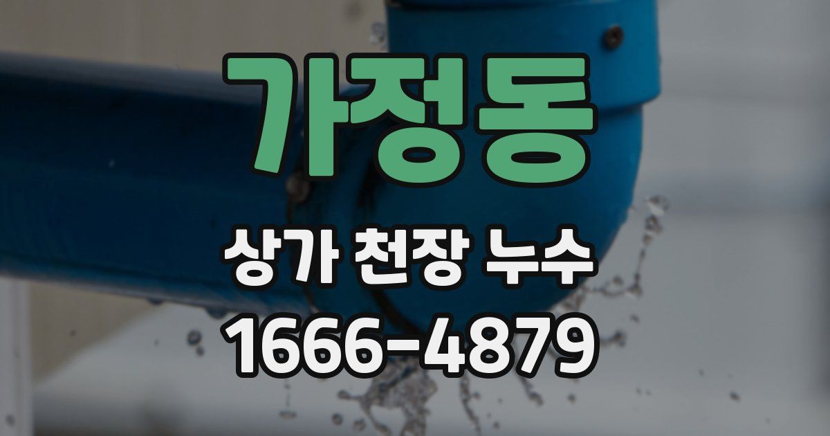 가정동 상가 천장 누수
