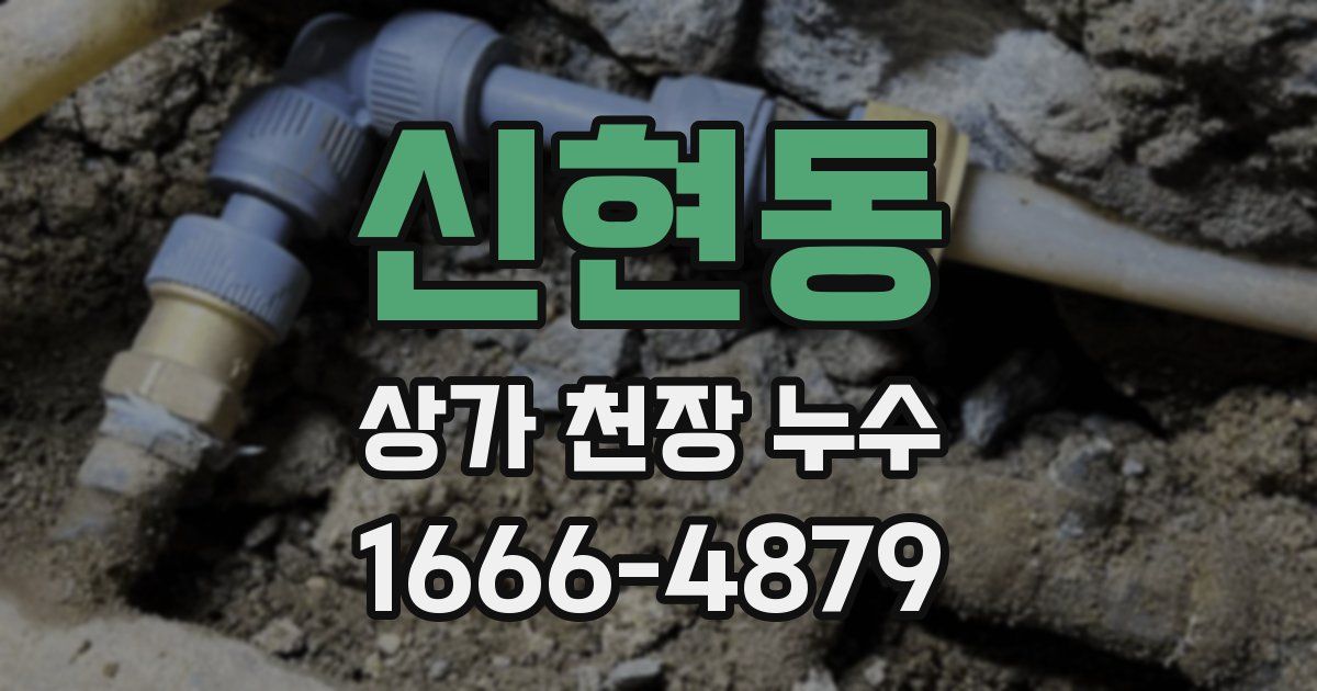 신현동 상가 천장 누수