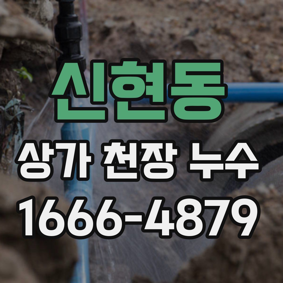 신현동 상가 천장 누수