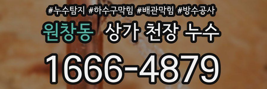 원창동 상가 천장 누수