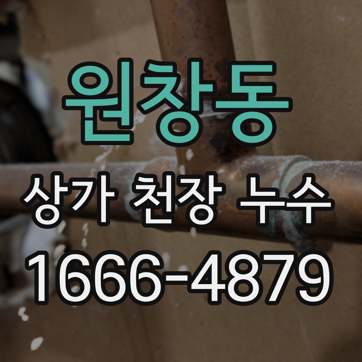 원창동 상가 천장 누수