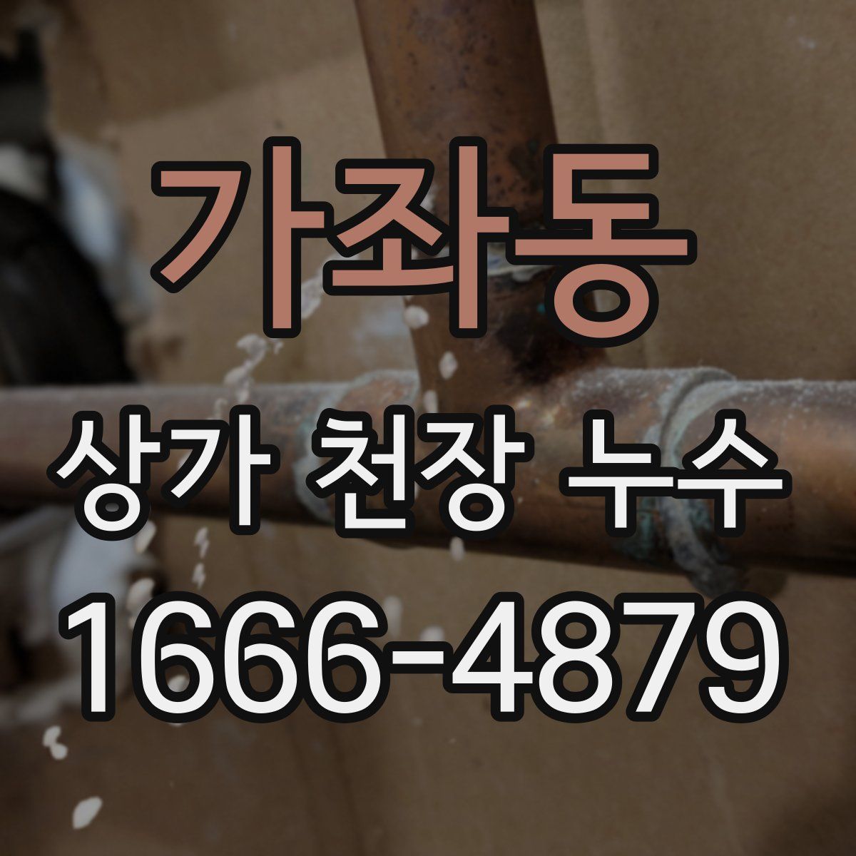 가좌동 상가 천장 누수