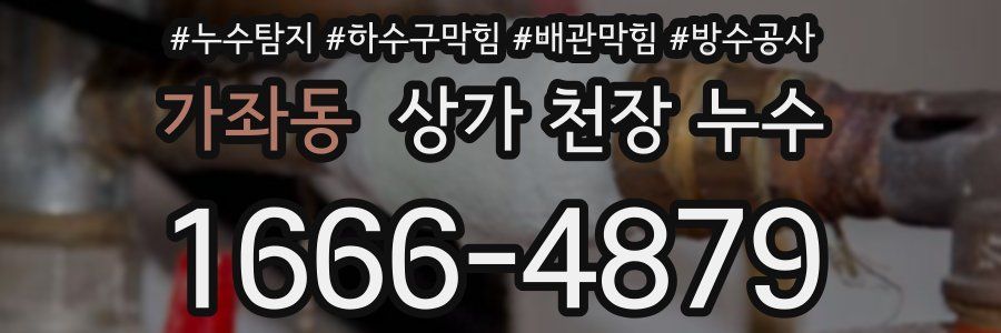 가좌동 상가 천장 누수
