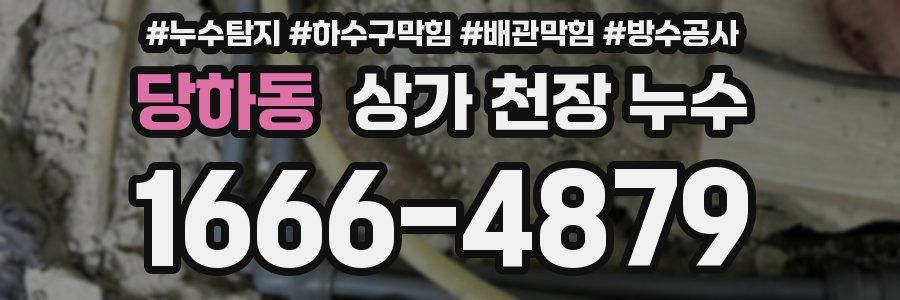 당하동 상가 천장 누수