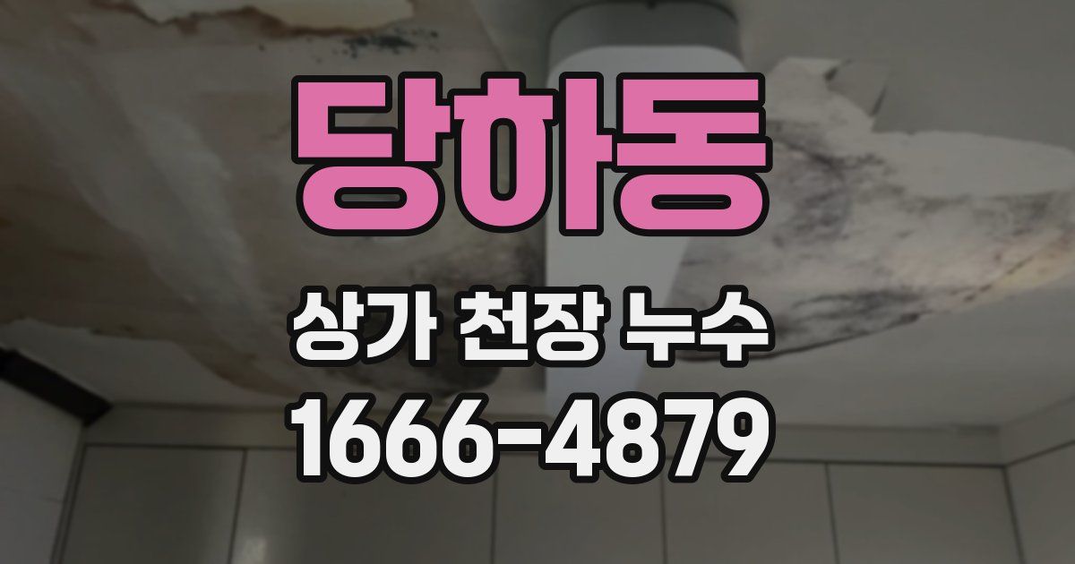 당하동 상가 천장 누수
