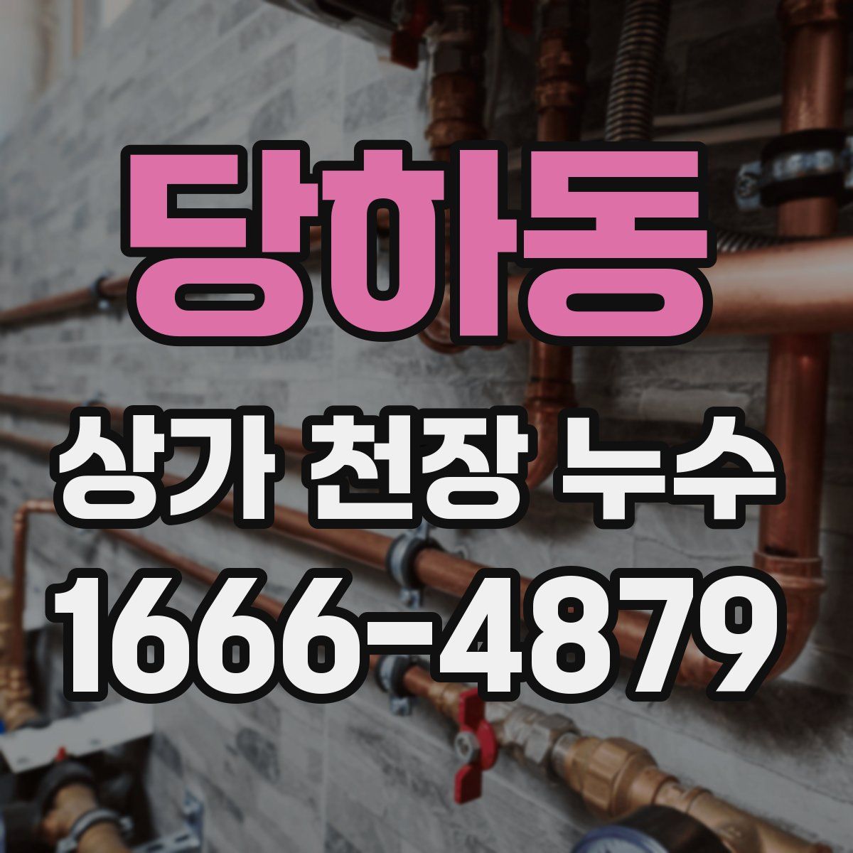 당하동 상가 천장 누수
