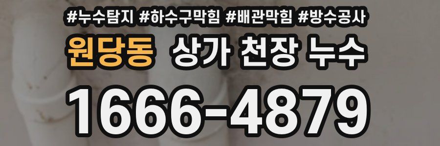 원당동 상가 천장 누수