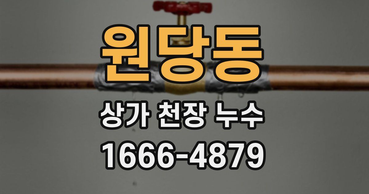 원당동 상가 천장 누수