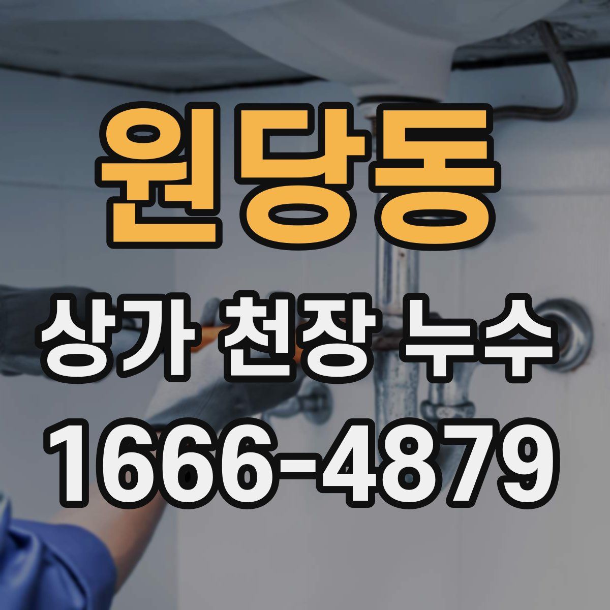 원당동 상가 천장 누수