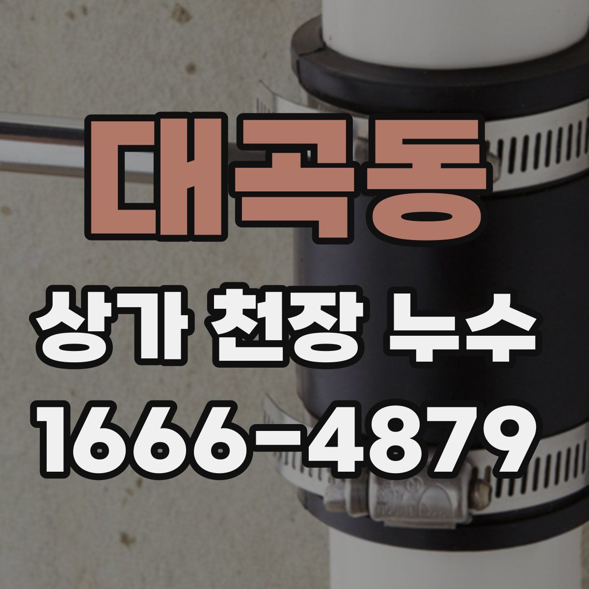 대곡동 상가 천장 누수
