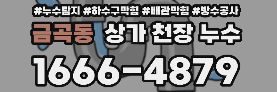 금곡동 상가 천장 누수