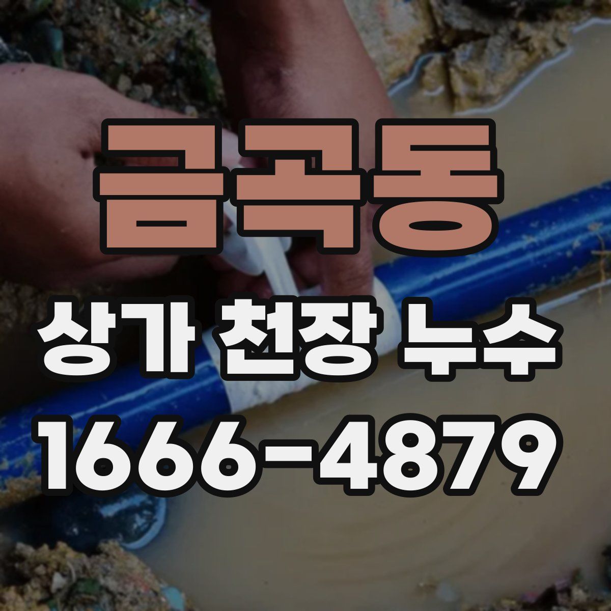 금곡동 상가 천장 누수