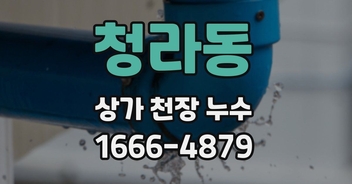청라동 상가 천장 누수