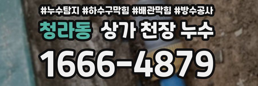 청라동 상가 천장 누수