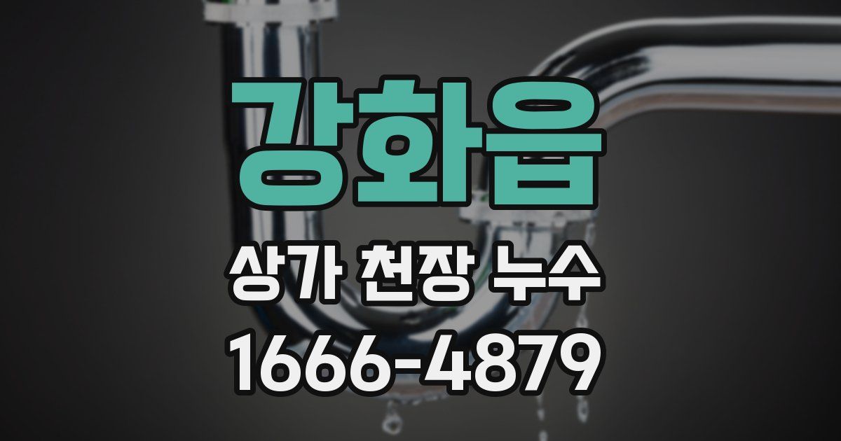 강화읍 상가 천장 누수