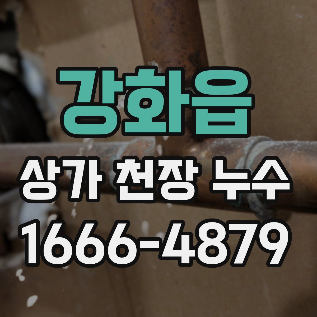 강화읍 상가 천장 누수
