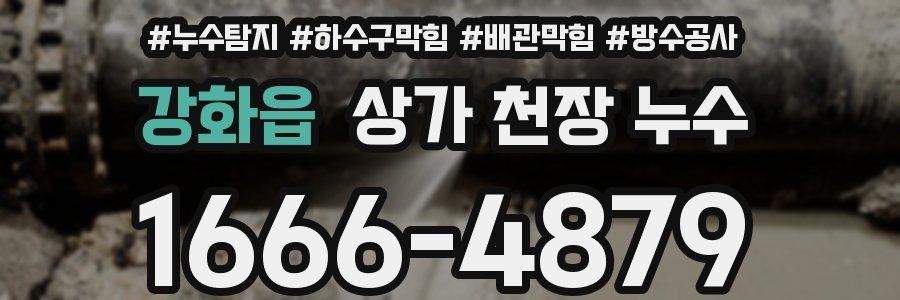 강화읍 상가 천장 누수