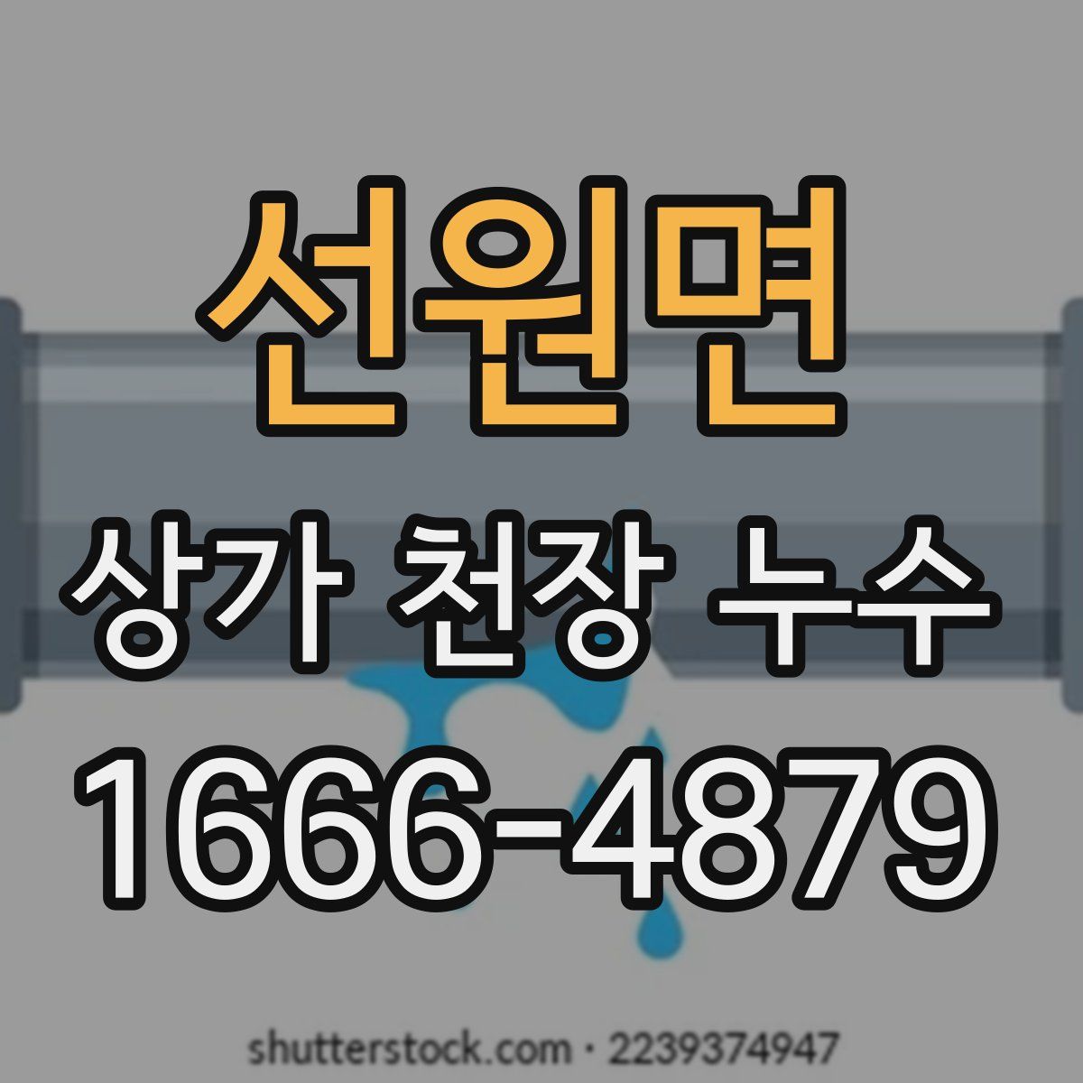 선원면 상가 천장 누수