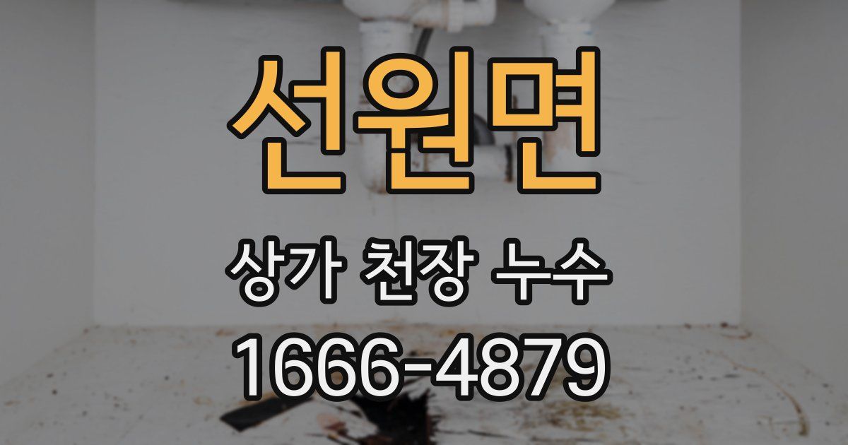 선원면 상가 천장 누수