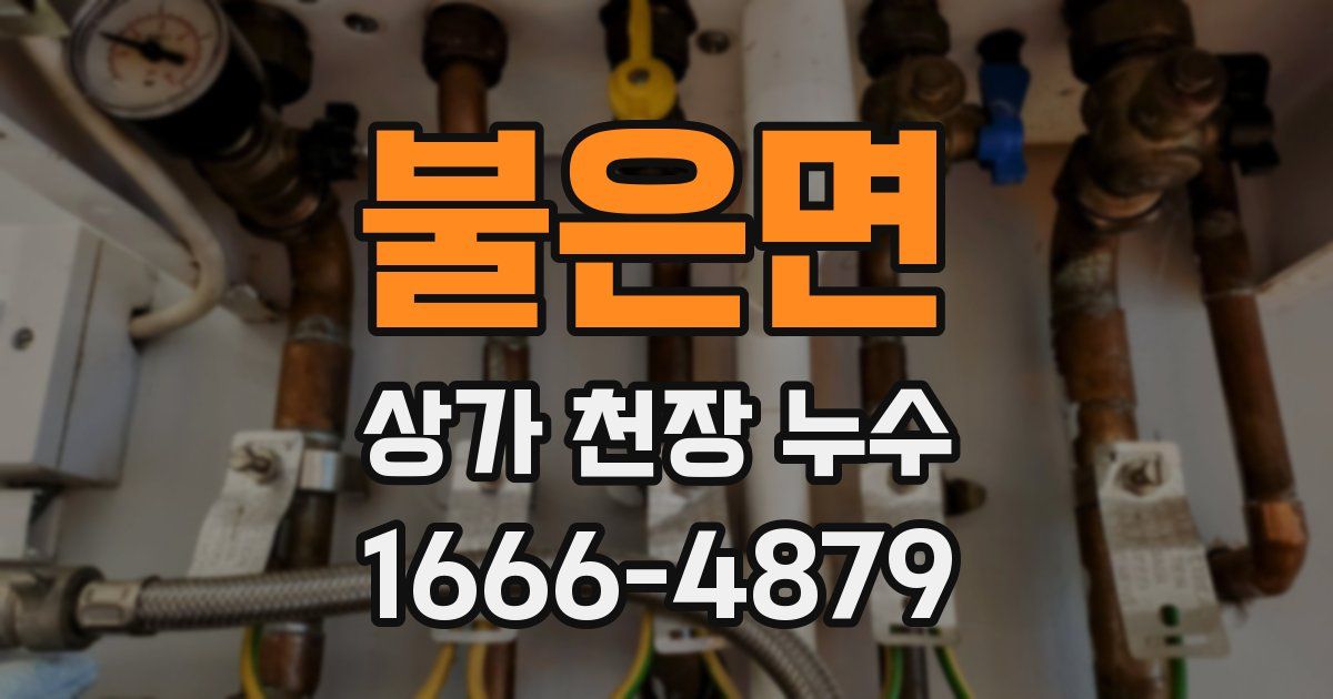 불은면 상가 천장 누수