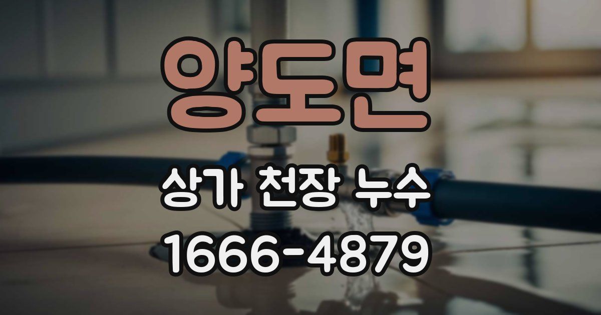 양도면 상가 천장 누수