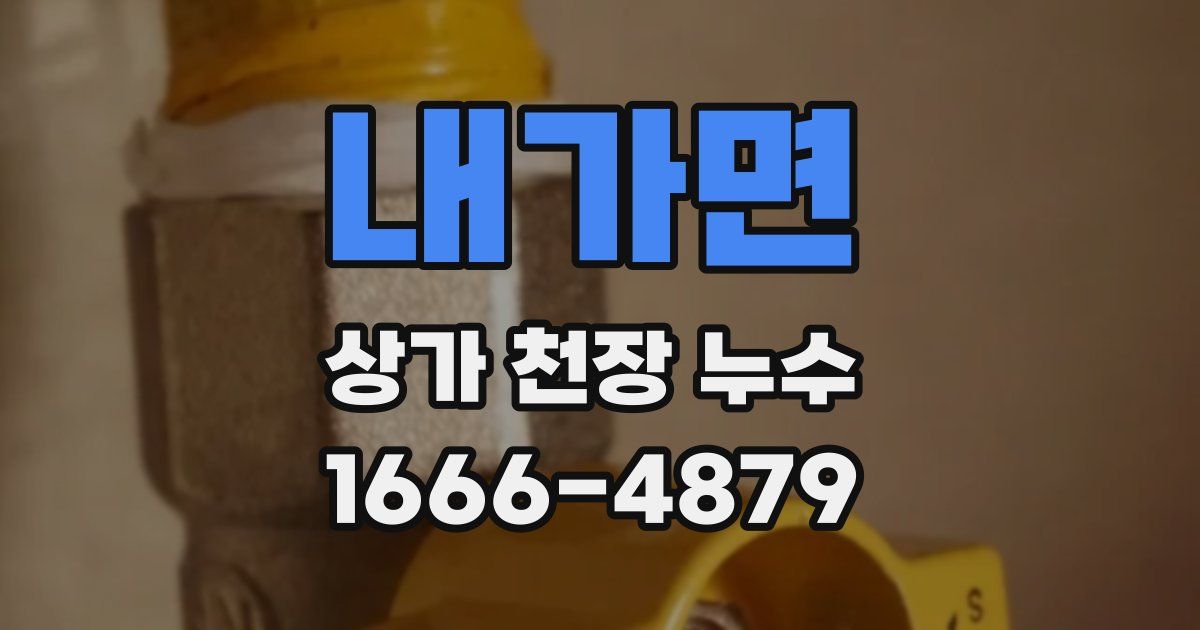 내가면 상가 천장 누수