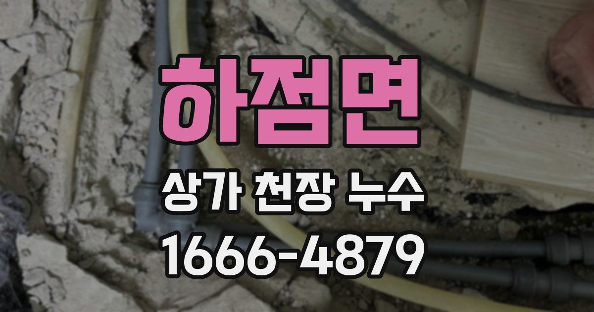 하점면 상가 천장 누수