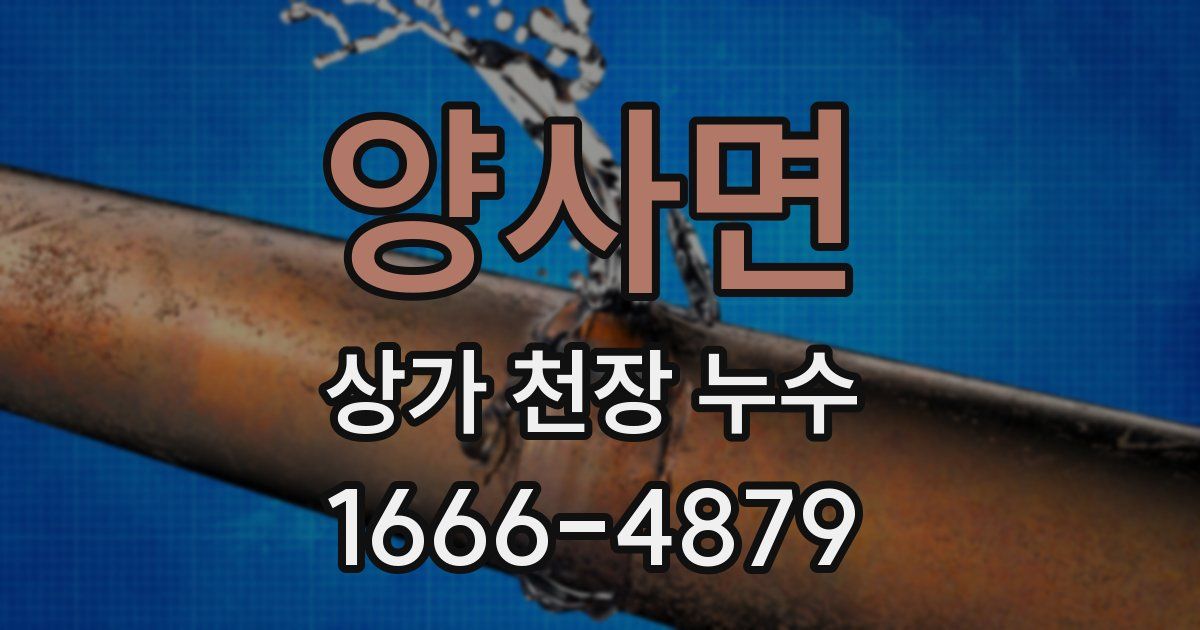 양사면 상가 천장 누수