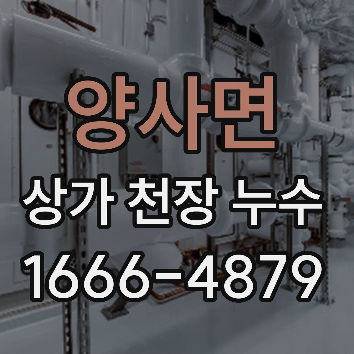 양사면 상가 천장 누수