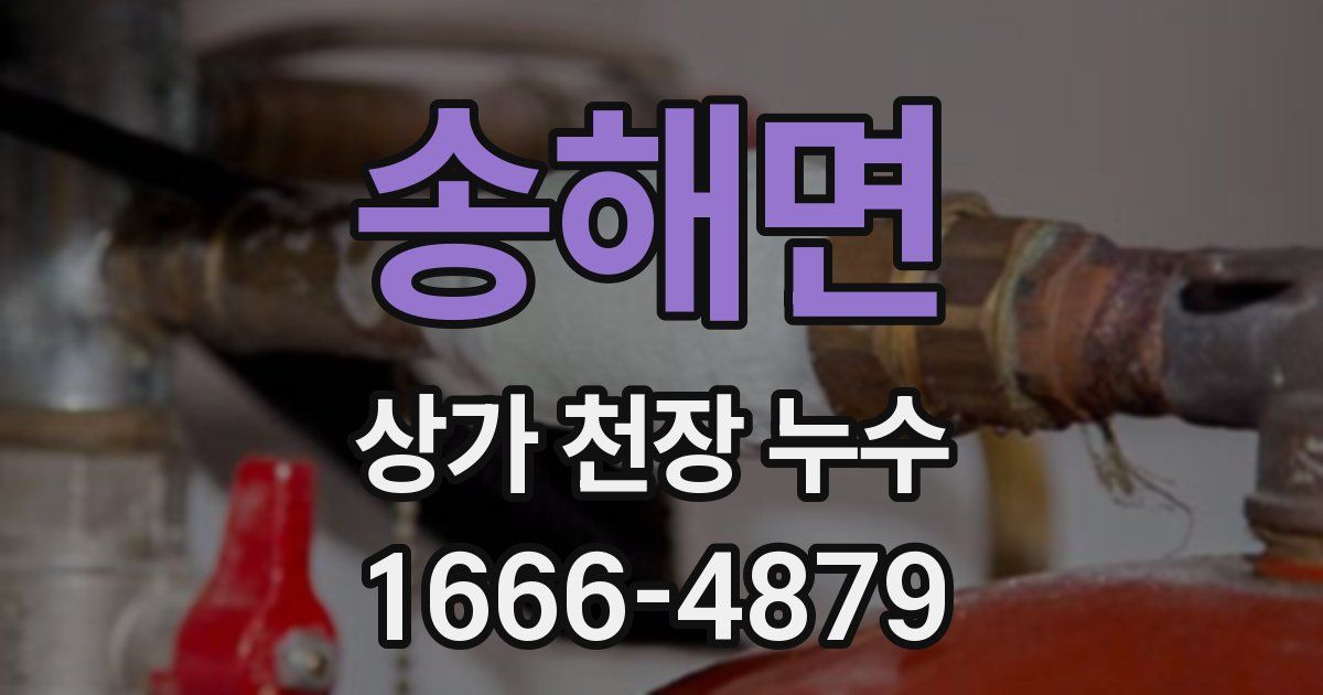 송해면 상가 천장 누수