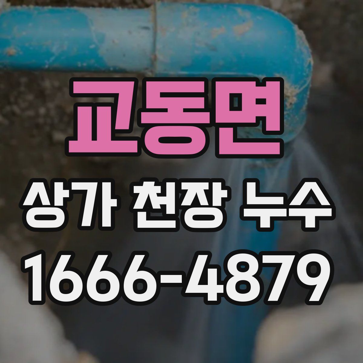 교동면 상가 천장 누수