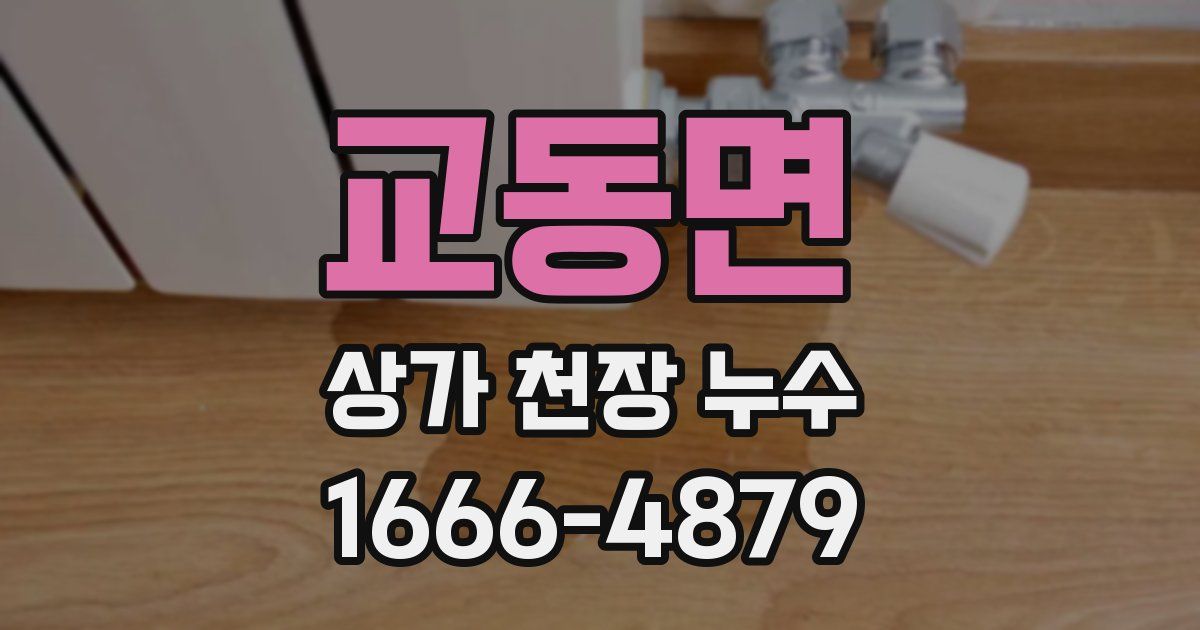 교동면 상가 천장 누수