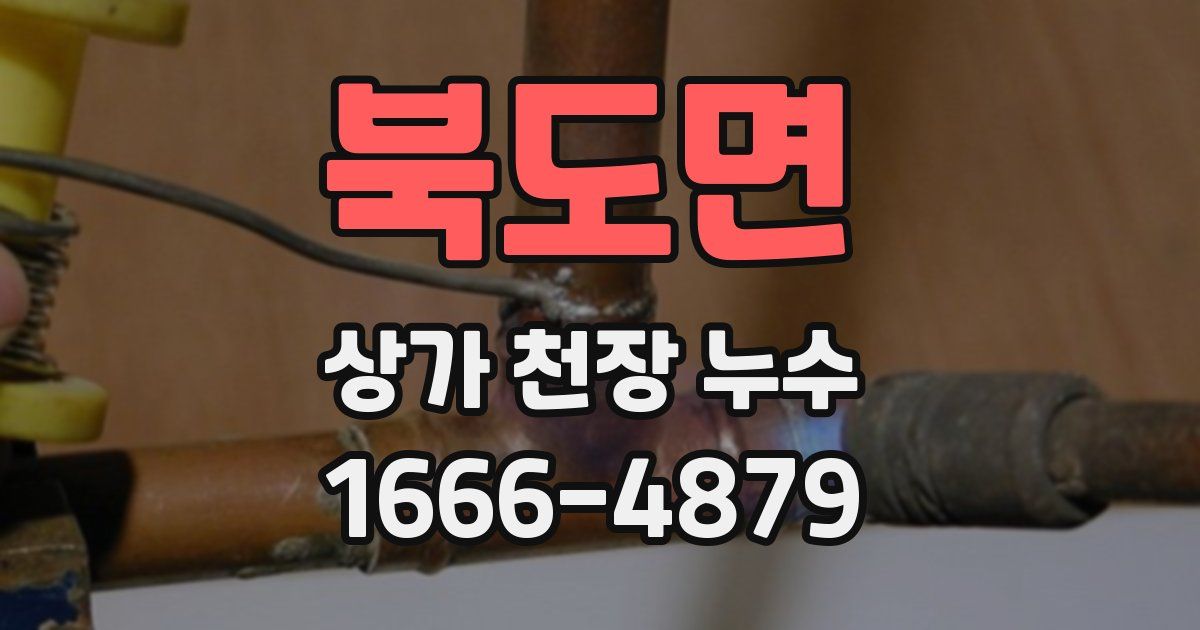 북도면 상가 천장 누수