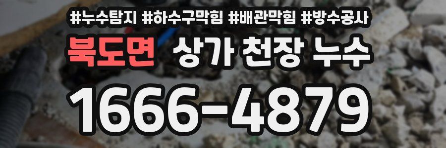 북도면 상가 천장 누수