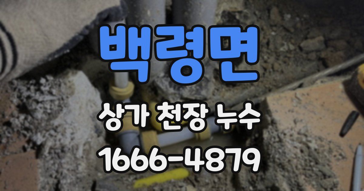 백령면 상가 천장 누수