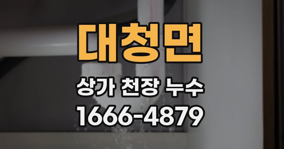 대청면 상가 천장 누수